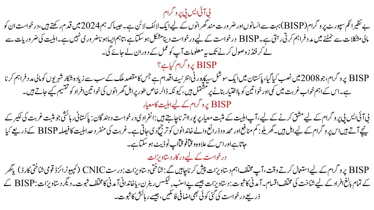 BISP Program