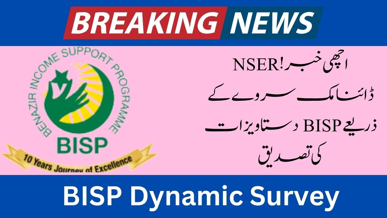 NSER Dynamic Survey