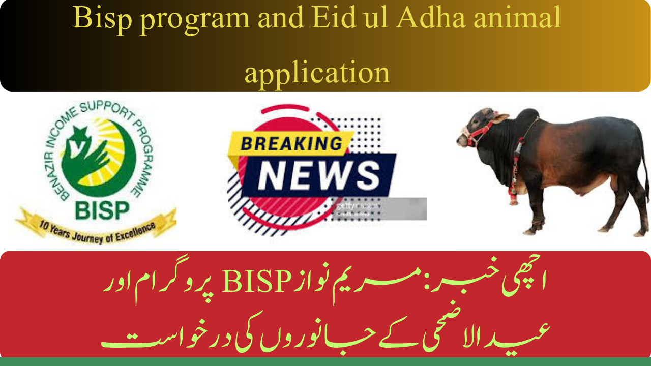 Bisp program and Eid ul Adha animal application