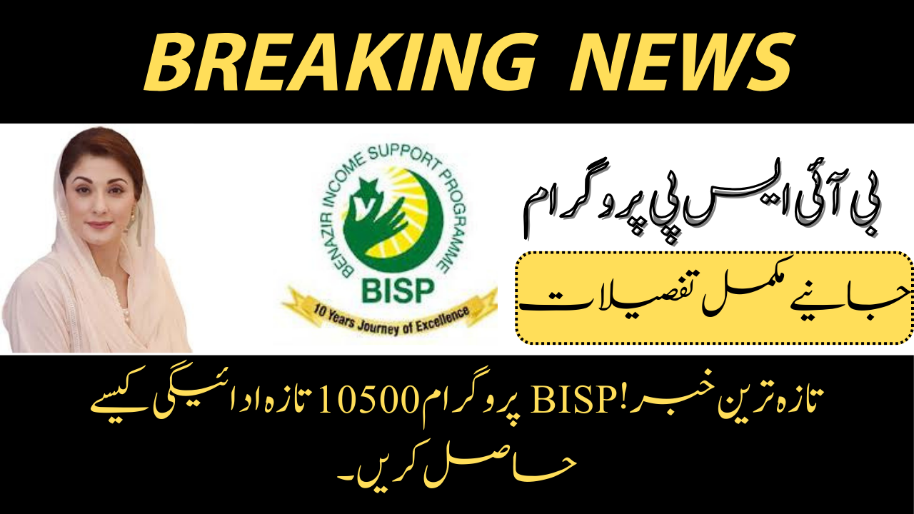 BISP Program