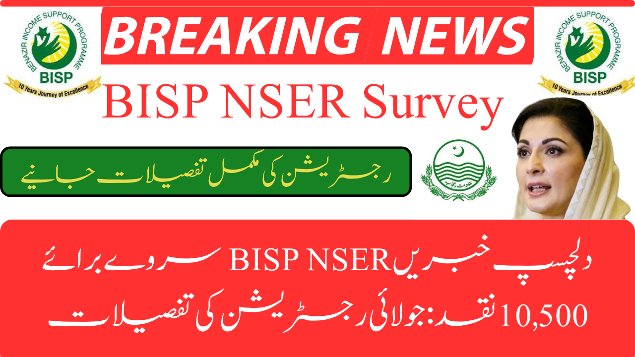 BISP NSER Survey