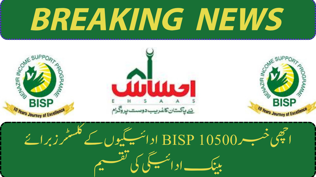 BISP 10500 Payment