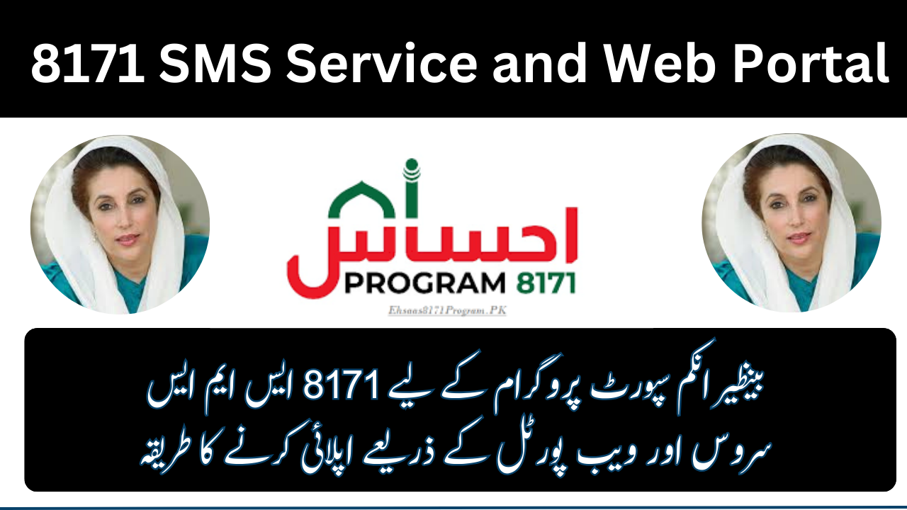 8171 SMS Service and Web Portal