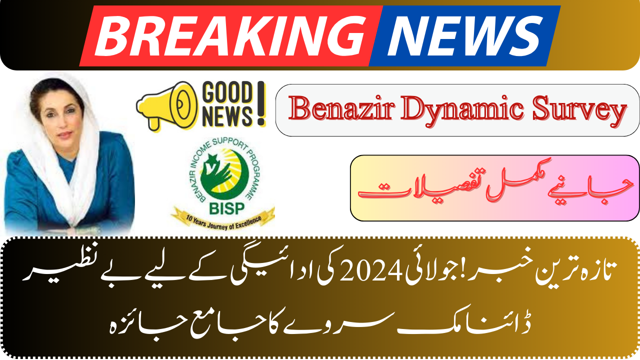 Benazir Dynamic Survey