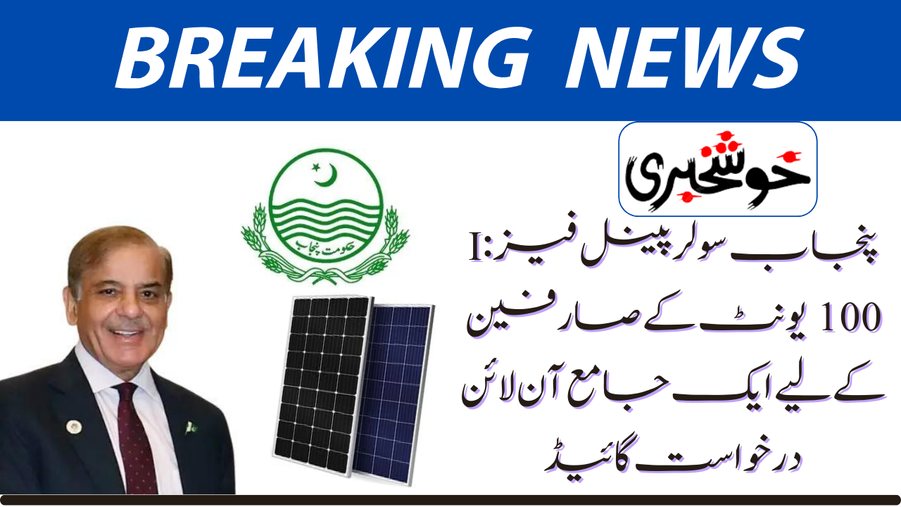 Punjab Solar Panel Phase I