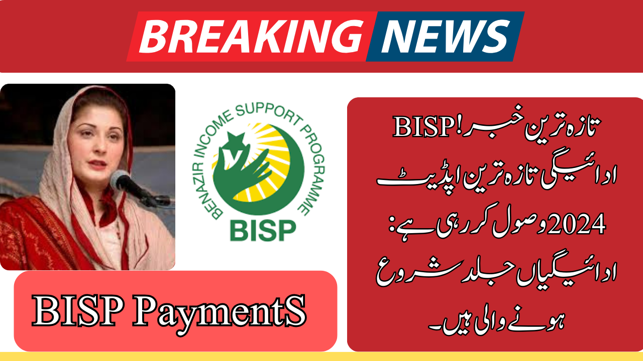 BISP Payment