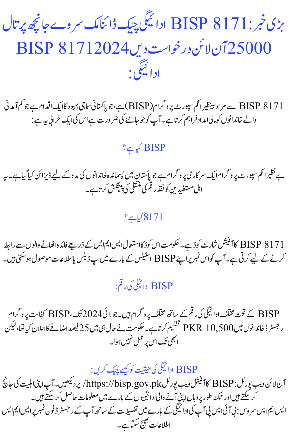  BISP 8171 Payment