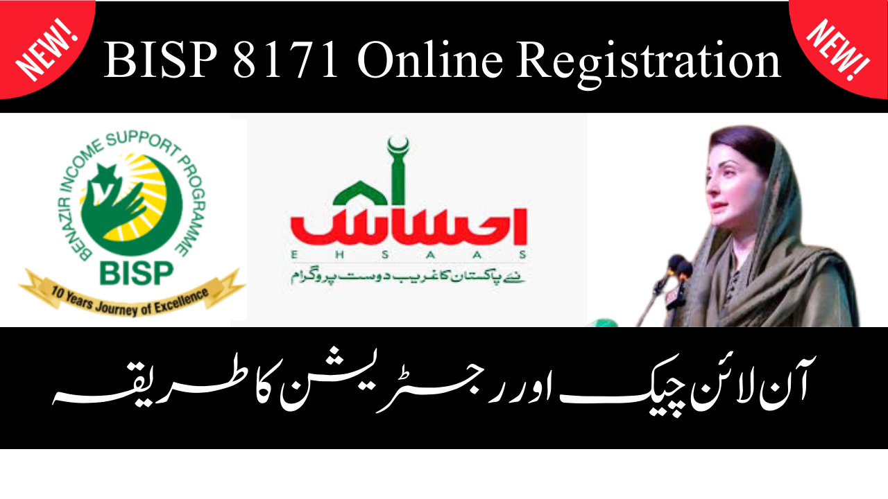 How to Check Your BISP 8171 Registration Status Using Your CNIC