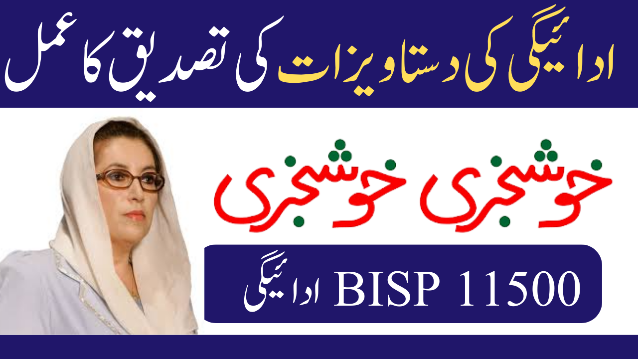 BISP 11500 Payment