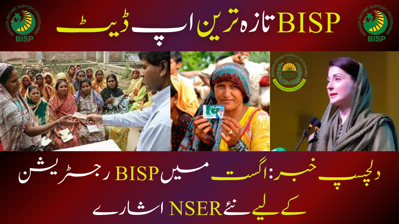 NSER Indicators for BISP Registrations