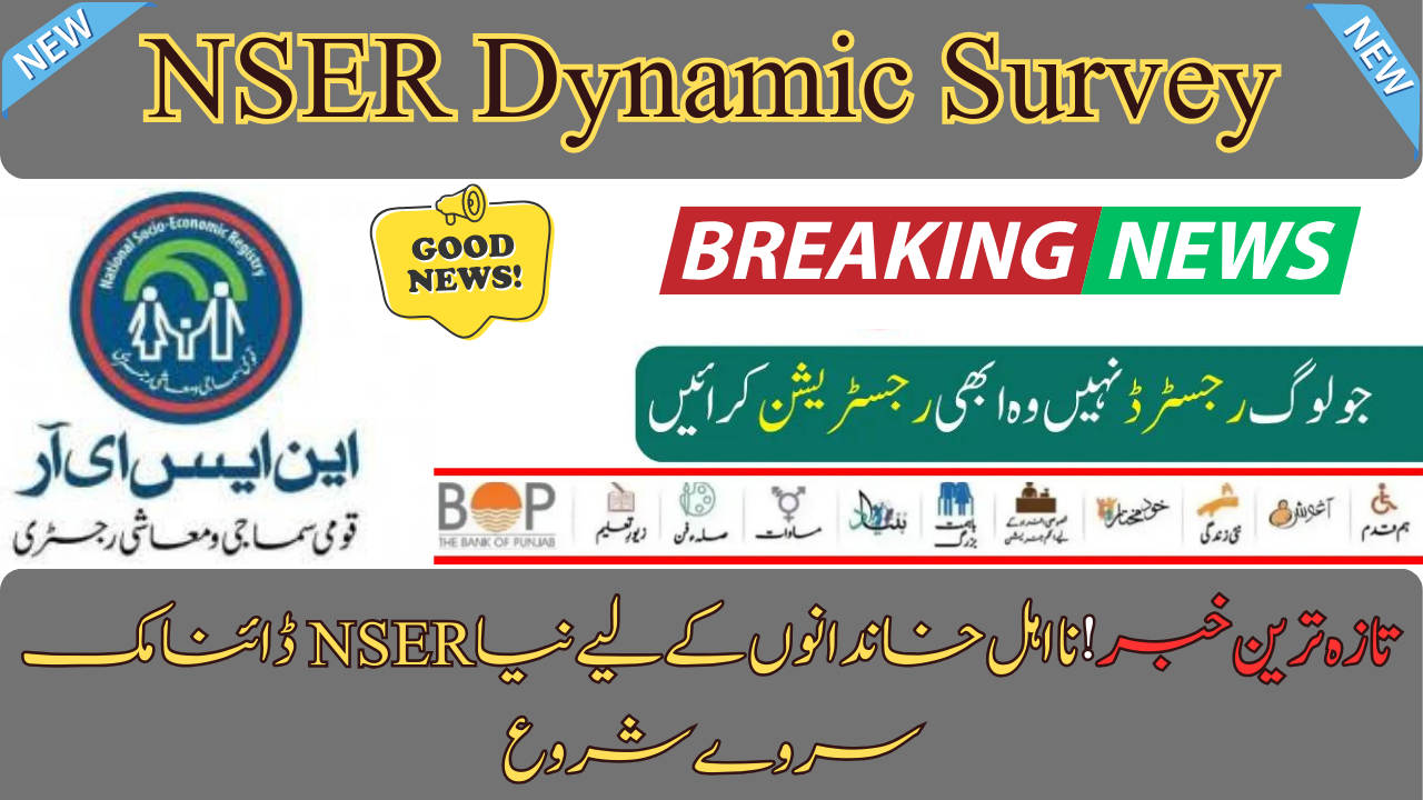 NSER Dynamic Survey