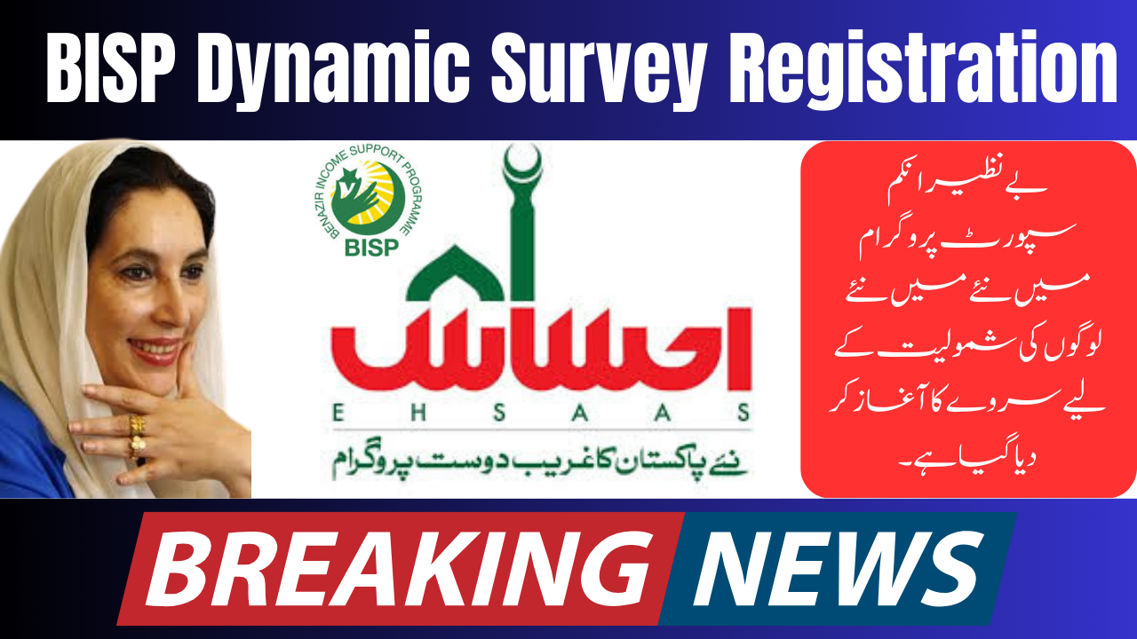 New Dynamic Survey Online 8171 SMS 