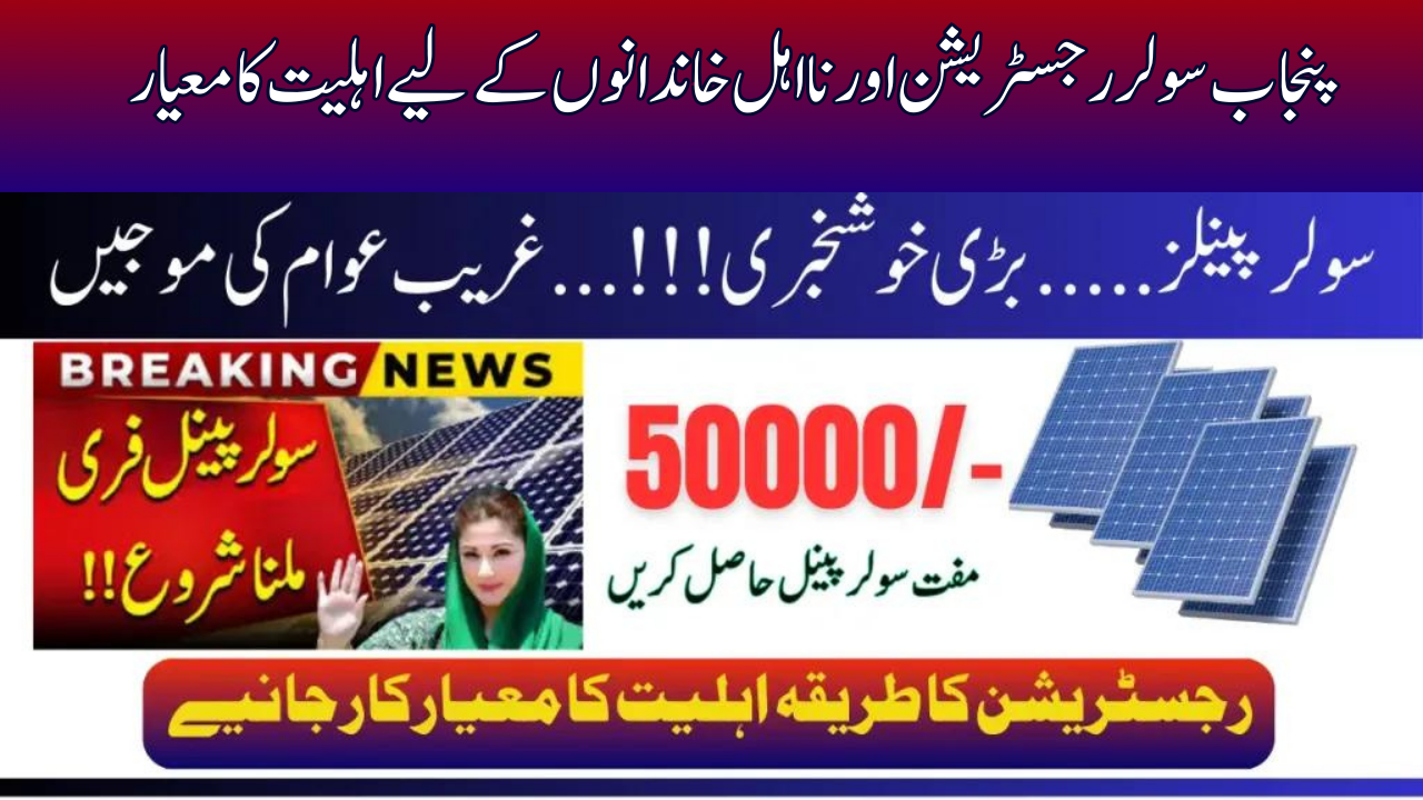 Punjab Solar Panels: