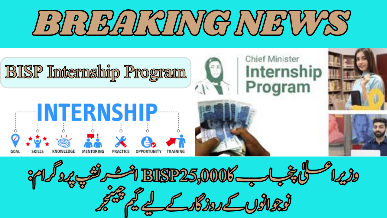 BISP Internship Program