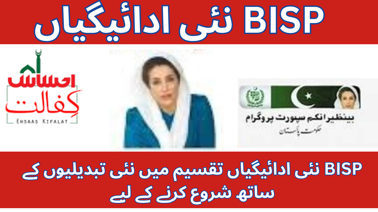 BISP New Payments: 